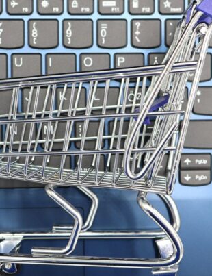 Ecommerce Businesses Payment Solution